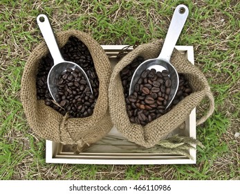 Coffee Beans In Sack Isolated In The Wood Box On Grass, Top Viwe