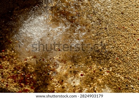 Coffee beans undergoing wet processing, washing away impurities and pulp, separating green coffee cherries on a Panama farm, ensuring high-quality Arabica coffee for brewing - stock photo