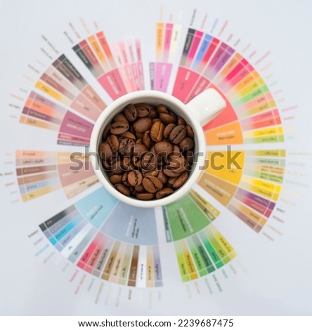 coffee beans in white cup on taster's note flavor wheel chart.