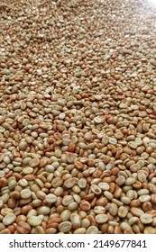 Coffee beans,In the ferment and wash method of wet processing                              