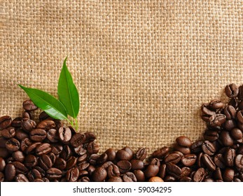 Coffee Border