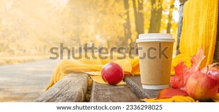 Coffee break in autumn park. Ecology paper cup of coffee, red apples and autumn colourful leaves on wooden bench in autumn park. Active lifestyle concept