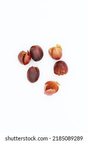 Coffee Cherry Pulp Dry Cascara