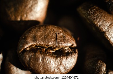 coffee cocoa beans