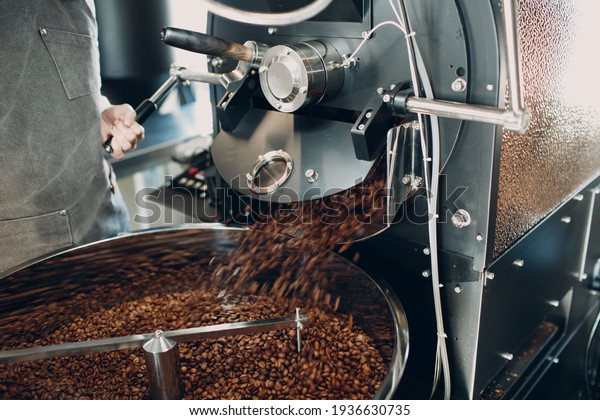 Coffee cooling in empty roaster machine at coffee\
roasting process. Young woman worker pours out blurred motion\
coffee beans.