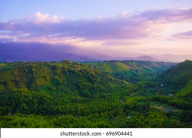 Coffee Cultural Landscape Of Colombia  - Valley In Armenia