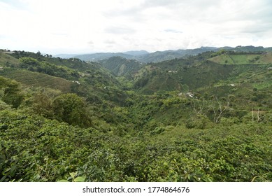 paisaje cultural del café, cordillera de los andes