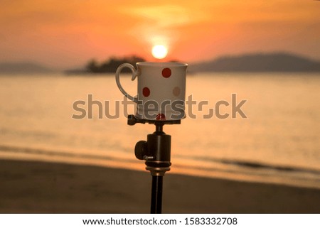 A coffee cup in the evening sun
