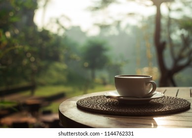 coffee in a cup and saucer in the rays of the morning sun, located on the right side of the horizontal banner, the background is a soft green color of the jungle. morning in a luxury hotel. - Powered by Shutterstock