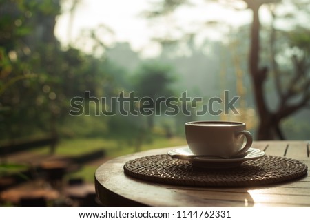 coffee in a cup and saucer in the rays of the morning sun, located on the right side of the horizontal banner, the background is a soft green color of the jungle. morning in a luxury hotel.