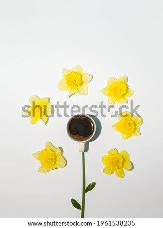 Similar – Fresh chamomile flowers in teapot on blue background