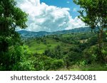 Coffee fields in the majestic Andes Mountains around Jerico, Jericó, Antioquia, Colombia. Fields, banana trees. Green landscape. Blue sky white clouds.