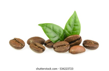 16,276 Coffe Plant Images, Stock Photos & Vectors | Shutterstock