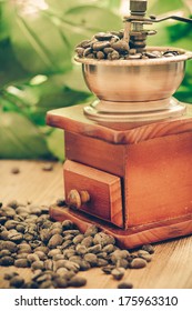 Coffee grinder and coffee beans