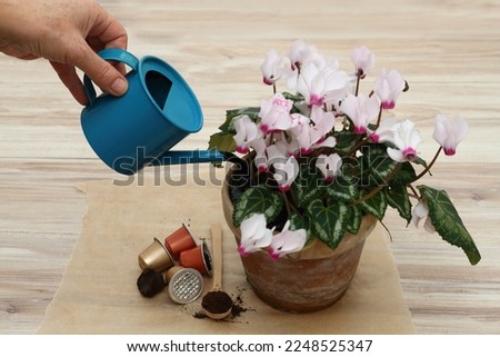 Coffee ground from espresso coffee capsules dissolved in water as fertiliser. Eco friendly and cheap watering, the way how to manure plants and flowers.  Stock photo © 