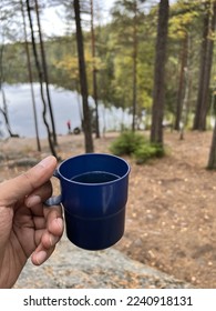 Coffee mug in backdrop of forest