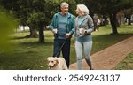 Coffee, old couple and walking dog in park together for outdoor fitness, health or wellness. Exercise, hobby or smile with senior man and woman training pet Labrador in nature for animal obedience