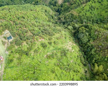 13 836 Colombian Mountains Images Stock Photos Vectors Shutterstock   Coffee Plantations Colombian Mountains 260nw 2203998895 