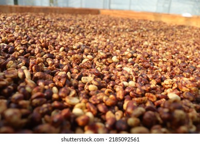 1,119 Washed process coffee Images, Stock Photos & Vectors | Shutterstock