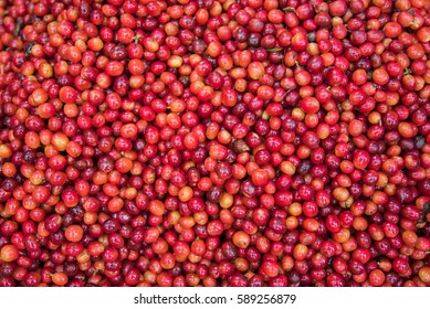 Coffee  Red Beans