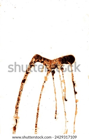 A coffee stain on a white background for text, coffee fleck, white and brown photo