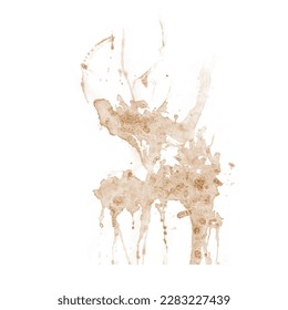 Coffee stains isolated on a white background. Royalty high-quality free stock photo image of Coffee and Tea Stains Left by Cup Bottoms. Round coffee stain isolated, cafe stain fleck drink beverage