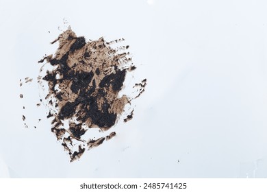 Coffee stains isolated on a white background. Royalty high-quality free stock photo image of Coffee and Tea Stains cup rings. Round coffee stain isolated, cafe stain fleck drink beverage