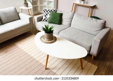 Coffee table with houseplant in light living room - Shutterstock ID 2135334809