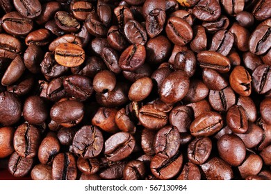 Coffee texture. Roasted coffee beans as background wallpaper. Beautiful arabica real cofee bean illustration for any concept. Gourmet coffee beans macro closeup studio photo. 