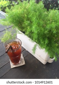 Coffee for tree