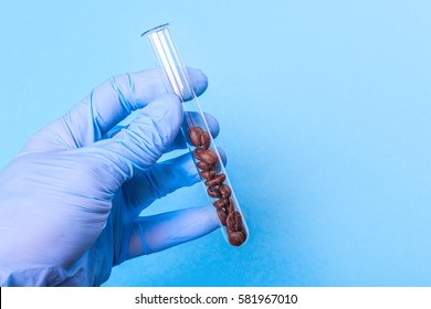Coffee in vitro laboratory test. Hand in glove on blue background