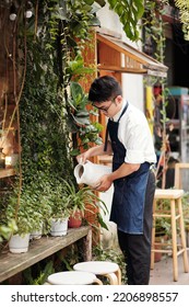 Coffeeshop Owner Watering Plants At Front Window