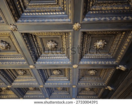 coffered ceiling of a historic building with a complex pattern, Poznan, Poland