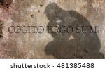 Cogito Ergo Sum. A Latin philosophical proposition that means I think, therefore I am.