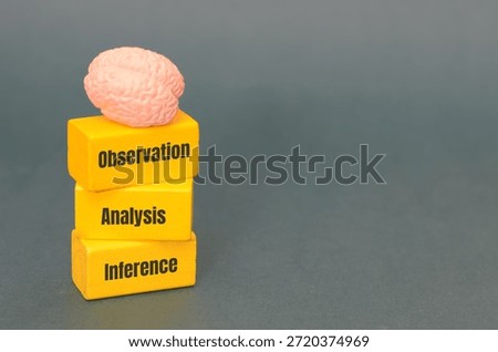 Cognitive Processing Model: Brain Resting on Blocks of Observation Analysis and Inference for Logical Decision Making and Psychological Research Illustration.
