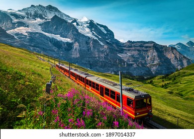 Cogwheel railway with electric red tourist train. Snowy Jungfrau mountains with glaciers, flowery fields and red passenger train, Kleine Scheidegg, Grindelwald, Bernese Oberland, Switzerland, Europe
