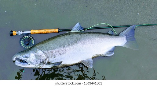 spinning rod for coho