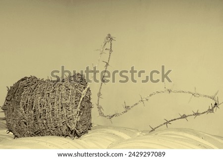Coil of rusty barbed wire - 
Abstract concept: violation of human rights, imprisonment, cruelty