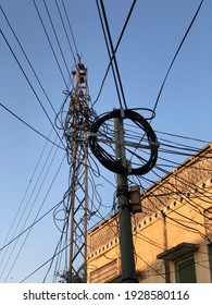 Coil of wires on electric pole 