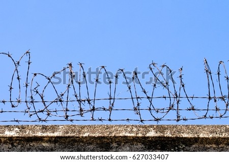 Coiled barbed wire fencing against a blue sky background