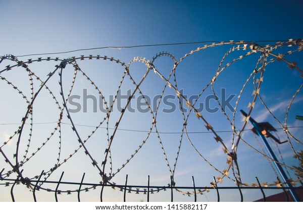 coiled barbed wire