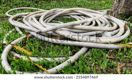 Similar – Image, Stock Photo Garden hose lies on a square terrace of stone tiles in a well-kept garden with lawn and a planting strip