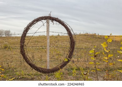 Coiled Roll Of Barbed Wire Hanging On Fence Post