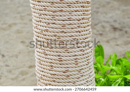 Coiled Rope Around a Tree Trunk on Beach