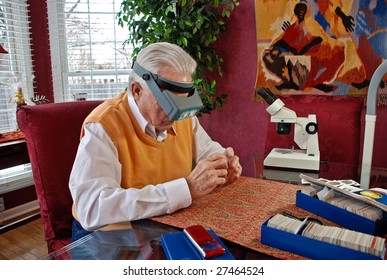 Coin Collector Studying An Old Coin