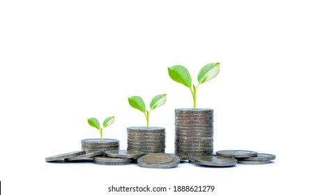 Coin Pile And Green Leaf Plant Growth On Coin On White Background Money Saving Concept, Banking Finance Business.