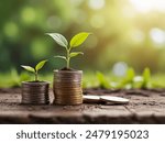 coin pile with growing plant, Money growth and business finance concept Coins with young plant on table with backdrop blurred of nature