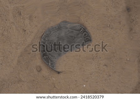 coin in sand under the water background