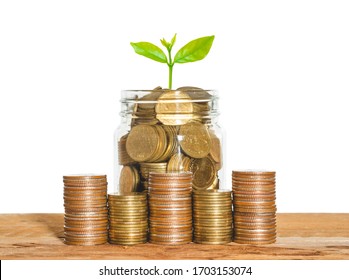 Coin Stack Money Saving Concept. Green Leaf Plant Growth On Rows Of Coin On White Background. Money Matters Tips To Investment And Business Financial Banking For Financial Wellness.