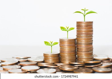 coin stack money saving concept. green leaf plant growth on rows of coin on white background. money matters tips to investment and business financial banking for Financial Wellness. - Shutterstock ID 1724987941
